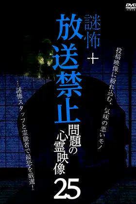 Mystery Horror + Broadcast Prohibited! Supernatural Footage Issue 25 poster