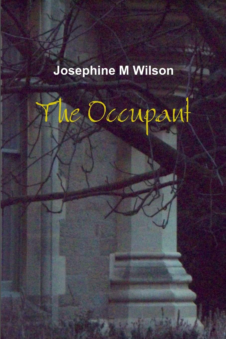 The Occupant poster