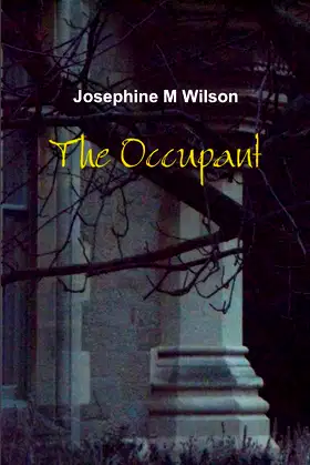 The Occupant poster