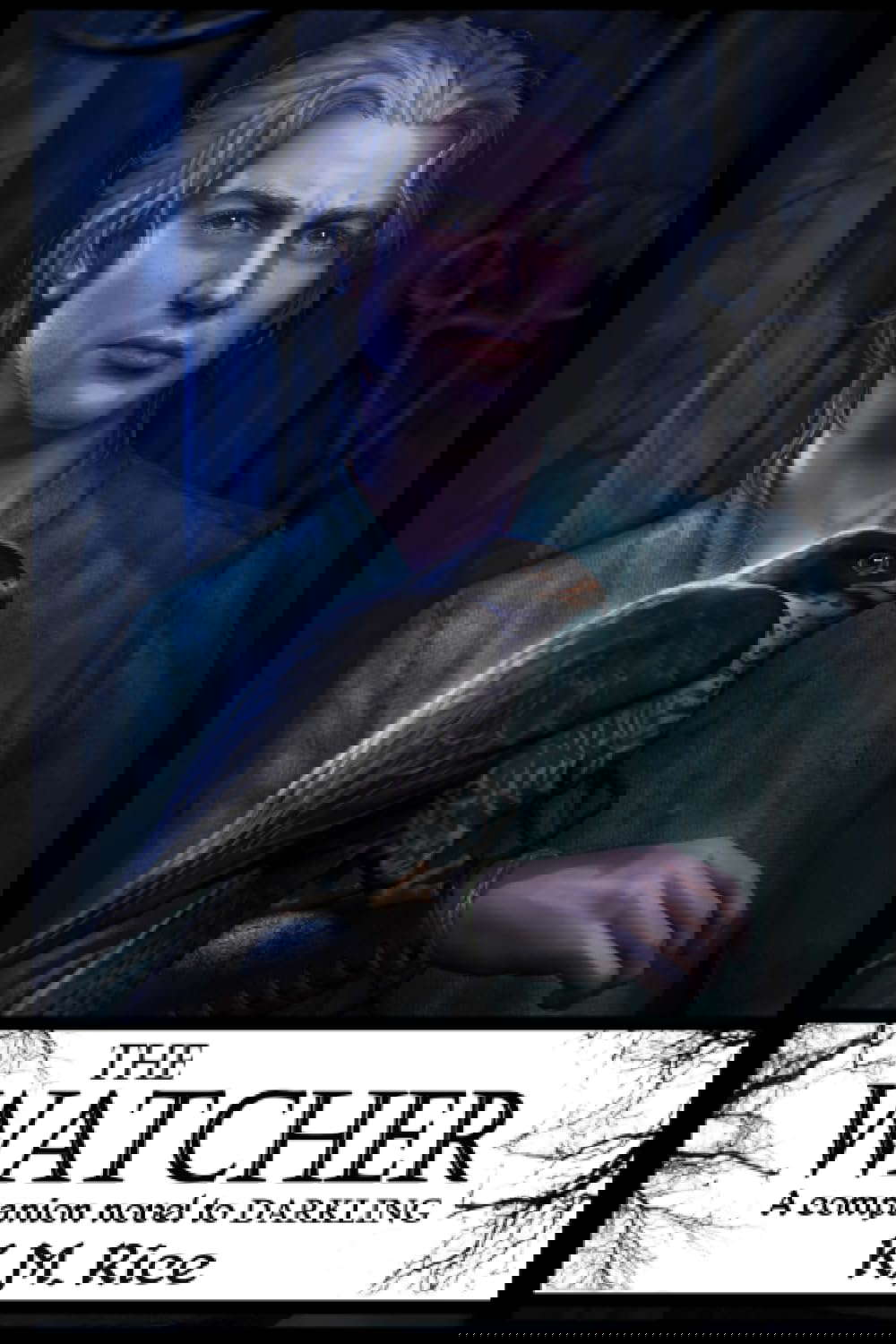 The Watcher: A Companion Novel to Darkling poster