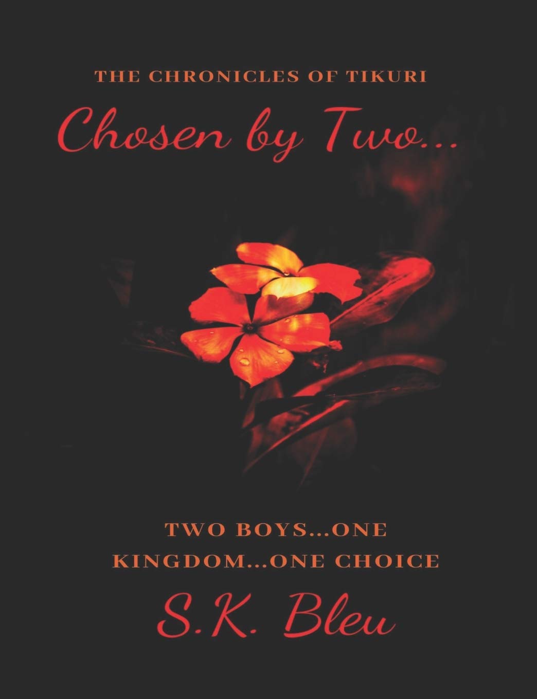 Chosen by Two: The Chronicles of Tíkúri poster