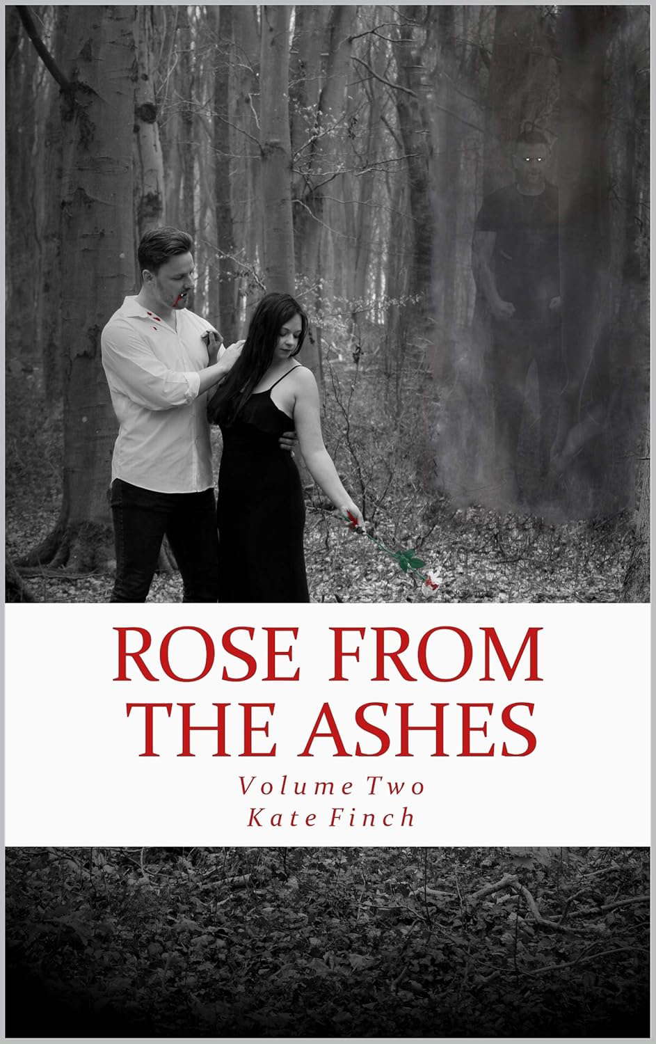 Rose from the Ashes: Volume Two (Rose from the Darkness Series Book 2) poster