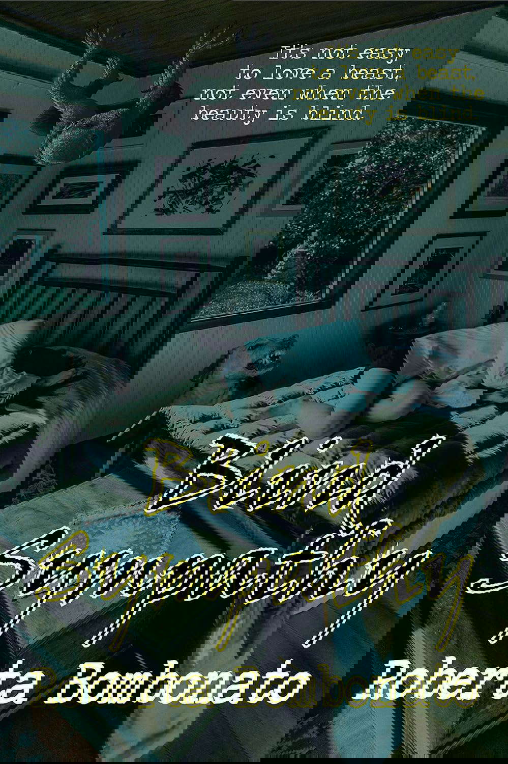Blind Sympathy poster