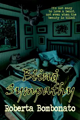 Blind Sympathy poster