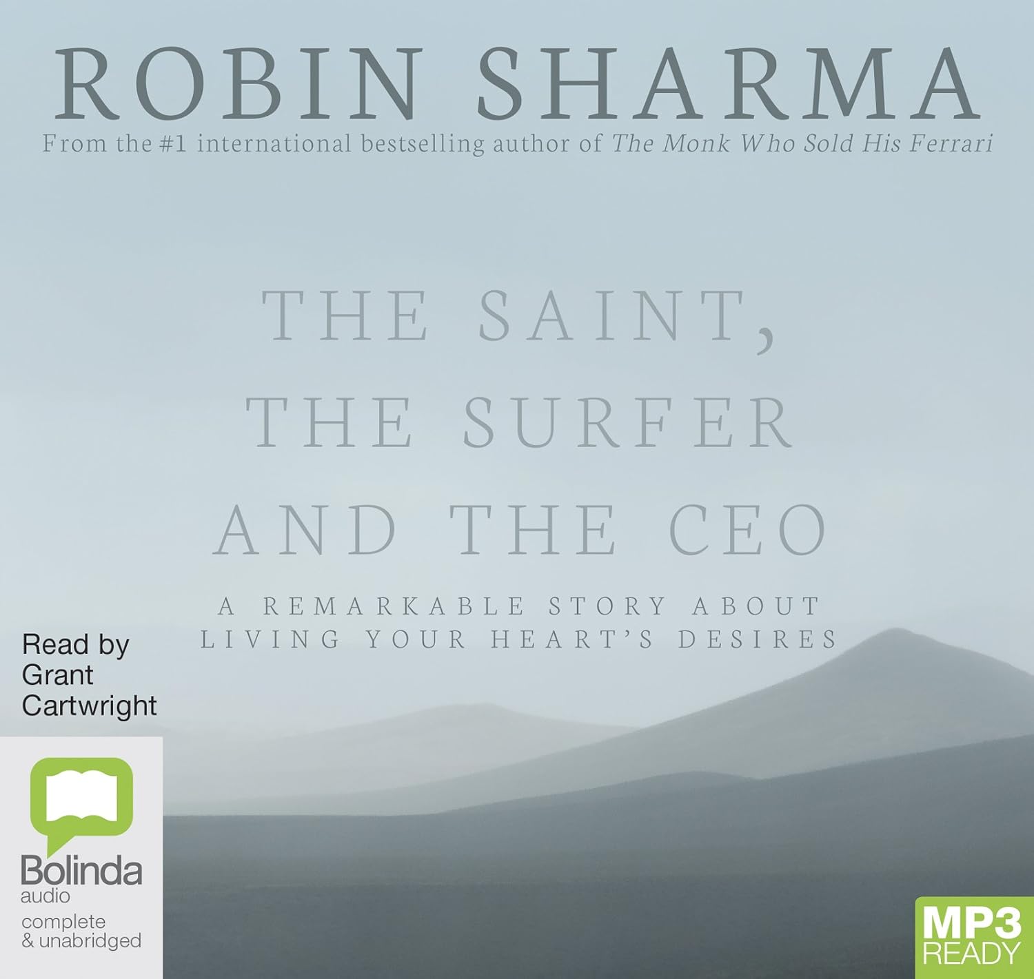 The Saint, the Surfer and the CEO poster