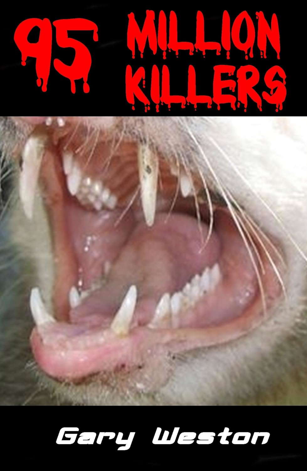 95 Million Killers poster