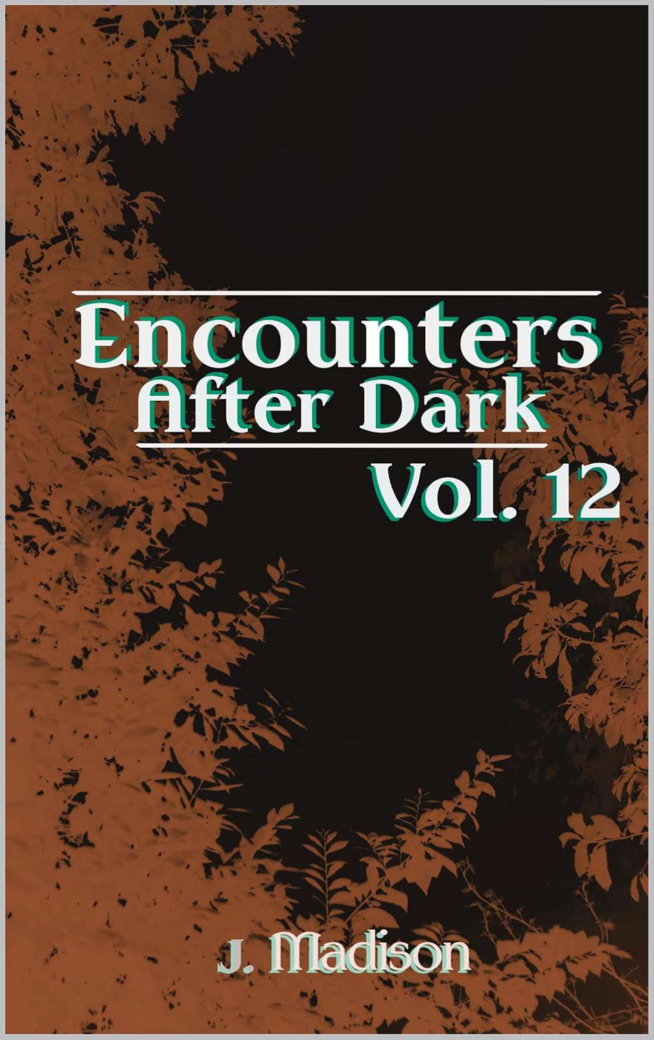 Encounters After Dark: Volume 12 poster