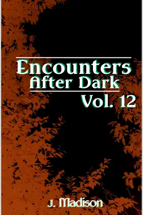 Encounters After Dark: Volume 12 poster