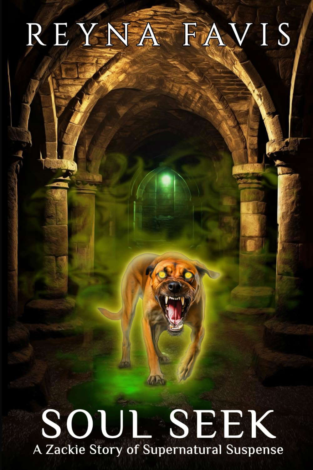 Soul Seek: A Zackie Story (The Zackie Stories) poster