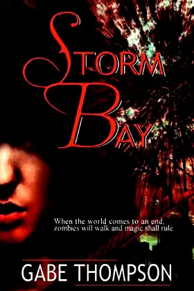 Storm Bay poster