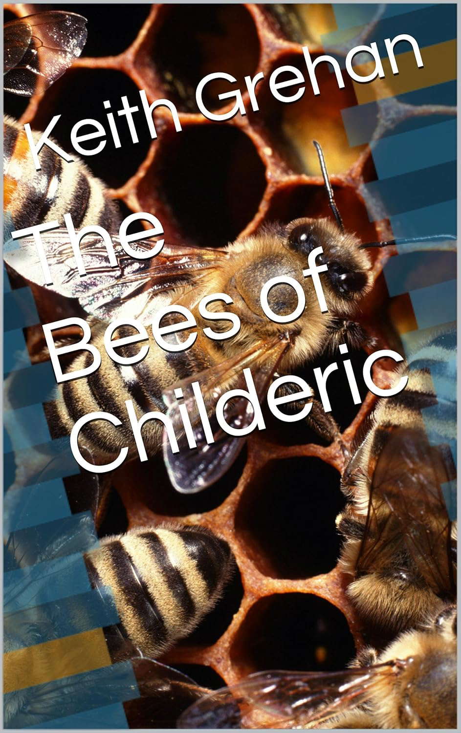 The Bees of Childeric (The Damned Ryan Mysteries) poster