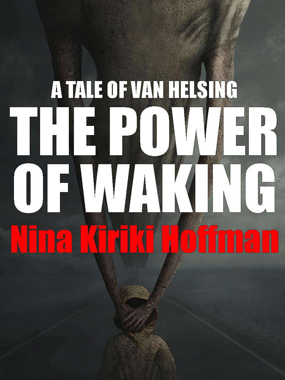 The Power of Waking poster