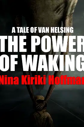 The Power of Waking poster
