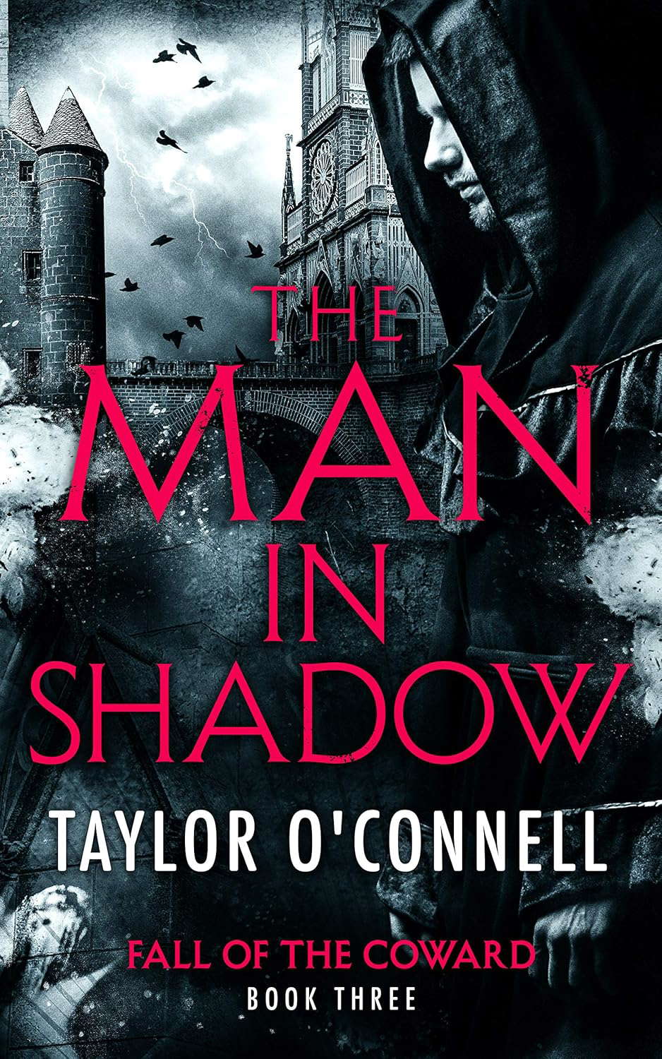 The Man In Shadow: Fall of the Coward, Book Three poster