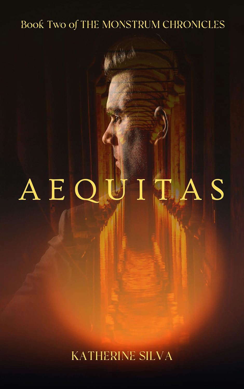 Aequitas: Book 2 of The Monstrum Chronicles poster