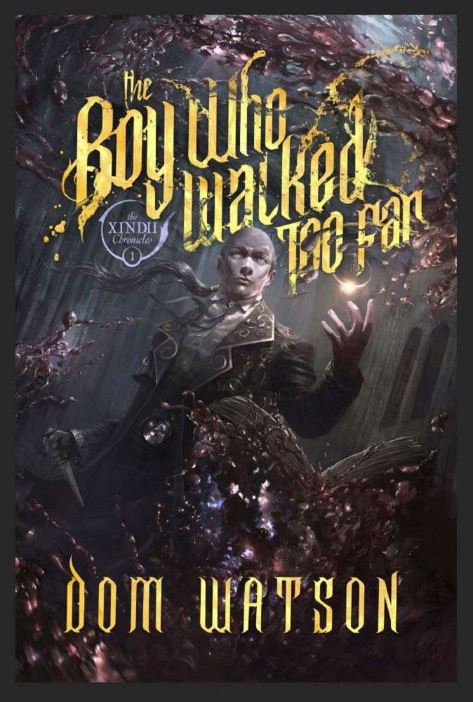 THE BOY WHO WALKED TOO FAR: THE XINDII CHRONICLES poster