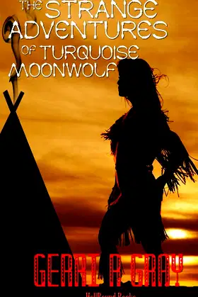 The Strange Adventures of Turquoise Moonwolf poster