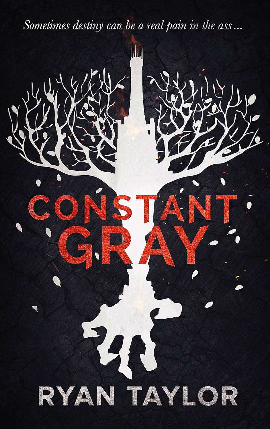 Constant Gray poster