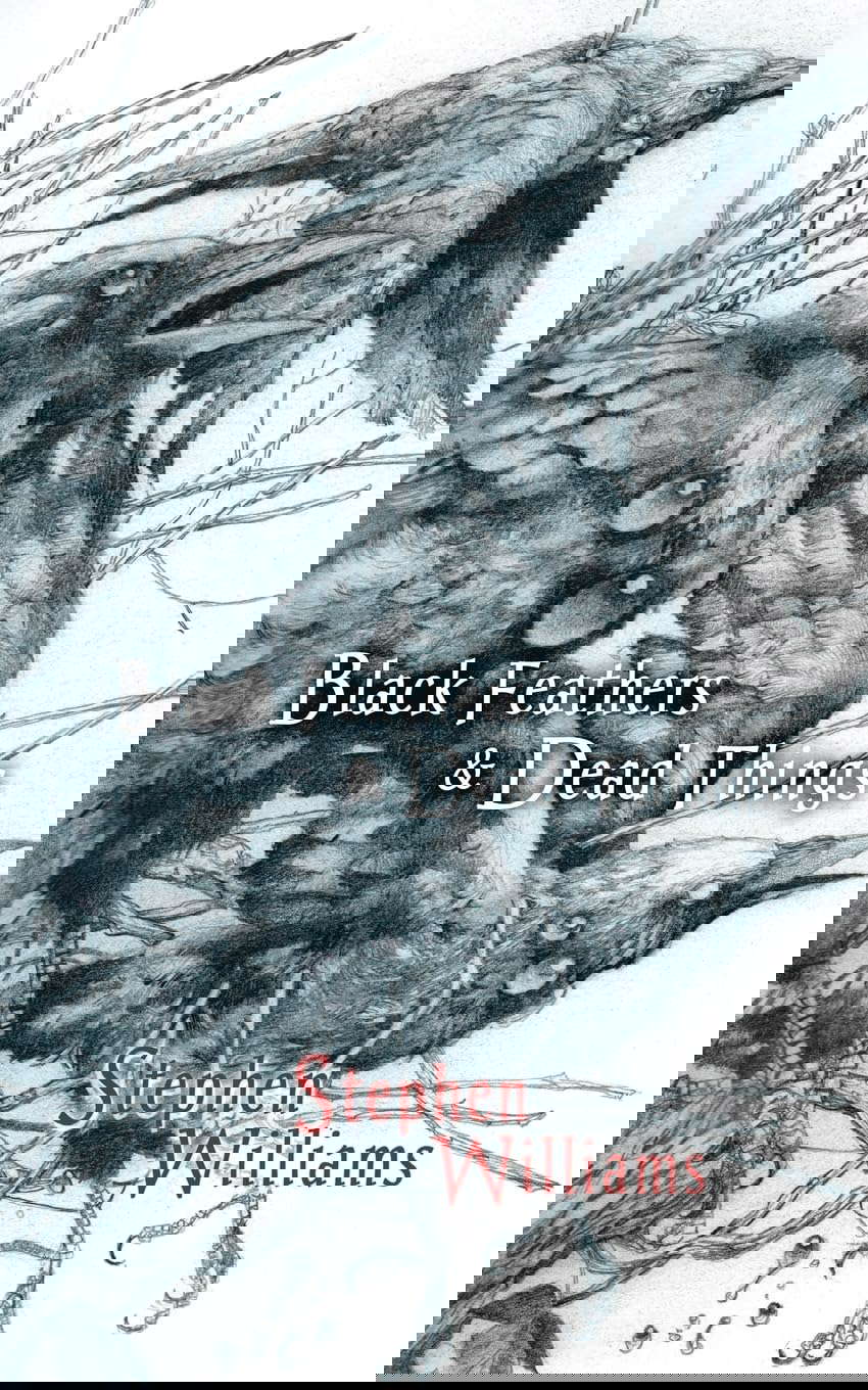 Black Feathers and Dead Things poster