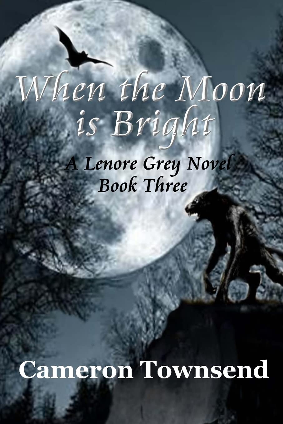 When the Moon is Bright (The Lenore Grey Novels) poster