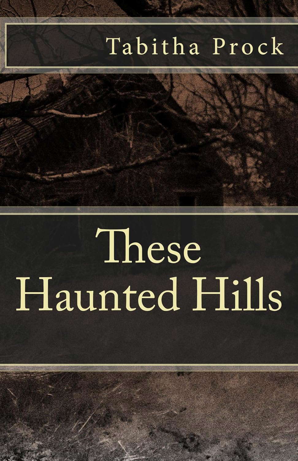 These Haunted Hills (East Tennessee Lore Book 1) poster