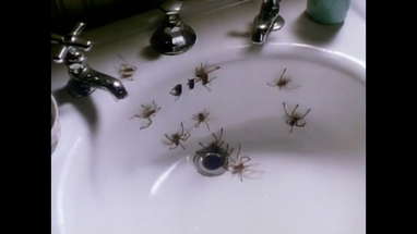 Arachnophobia (1990) Theatrical Trailer poster