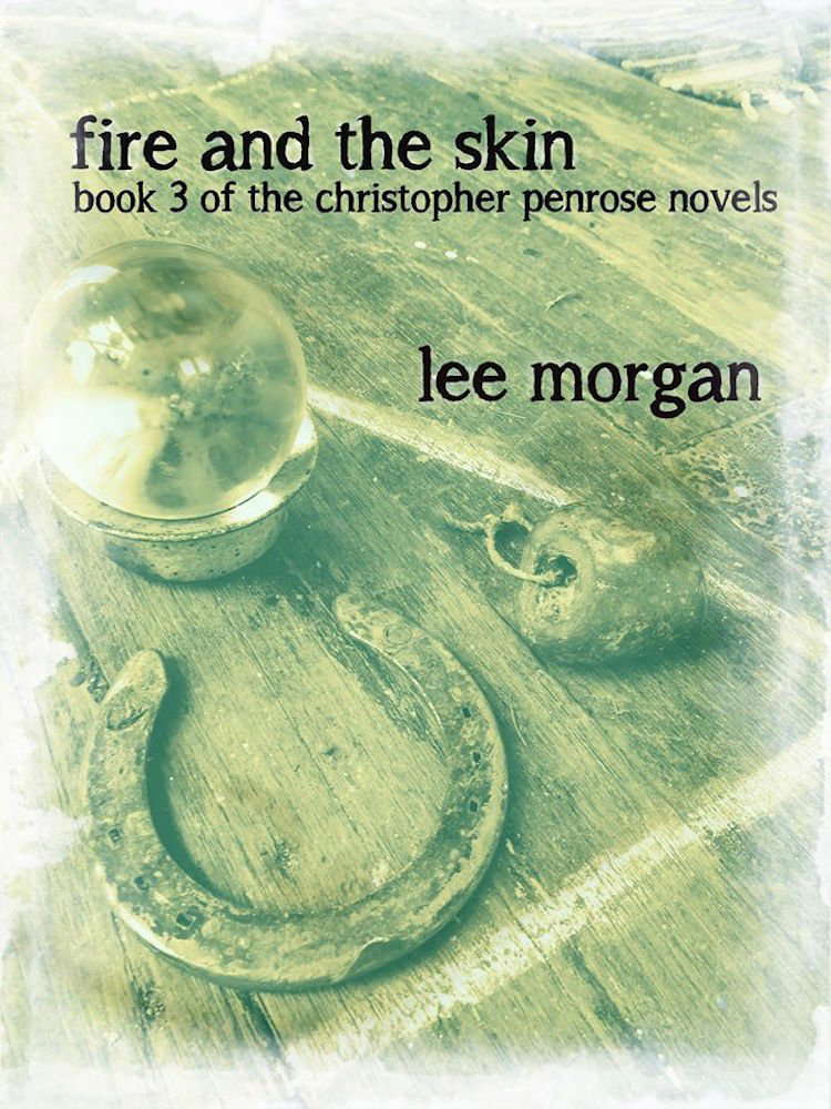 Fire and the Skin: Book Three of the Christopher Penrose Novels poster