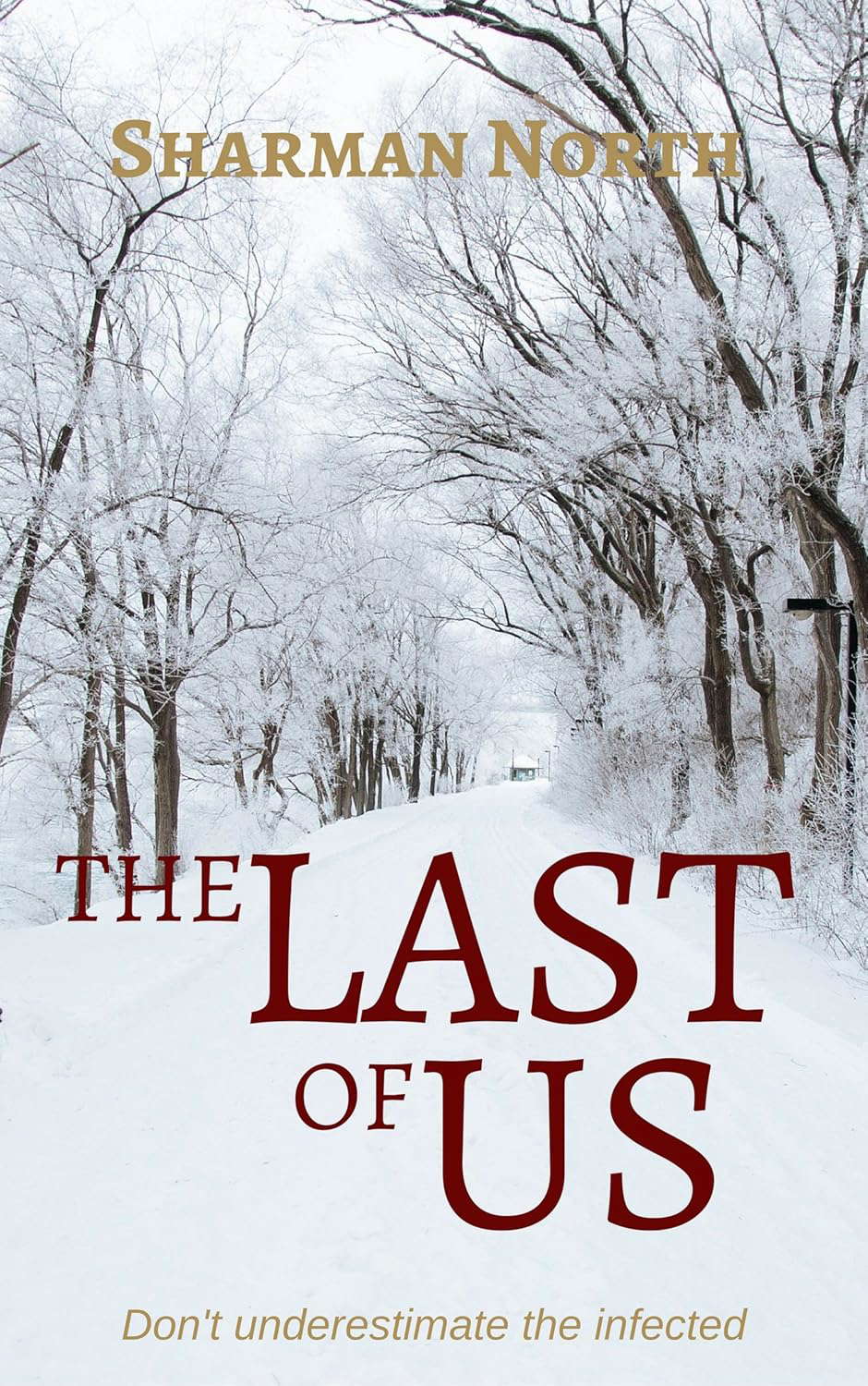 The Last of Us poster