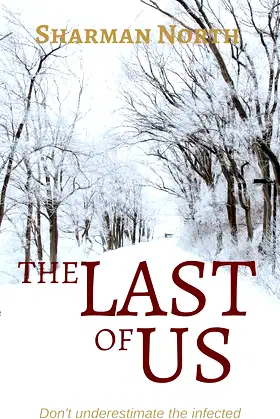 The Last of Us poster