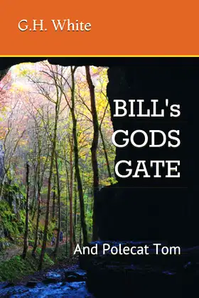 BILL's GODS GATE: And Polecat Tom poster