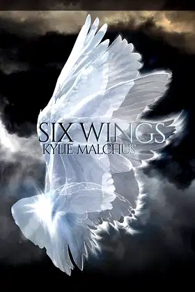 Six Wings poster