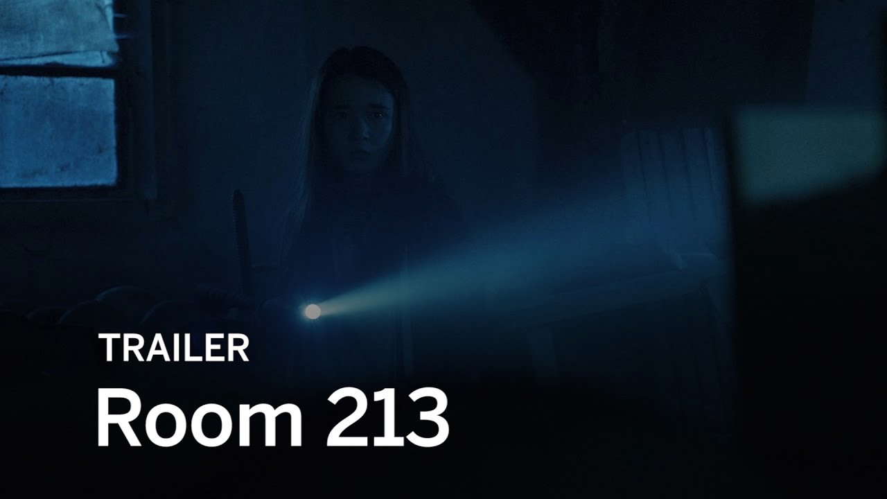 Poster for Room 213
