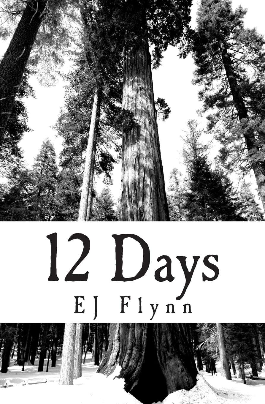 Twelve Days poster