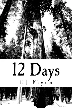 Twelve Days poster