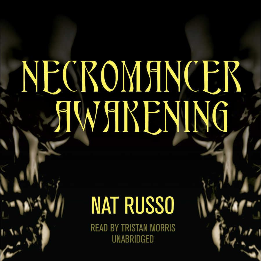 Necromancer Awakening: Book One of the Mukhtaar Chronicles poster