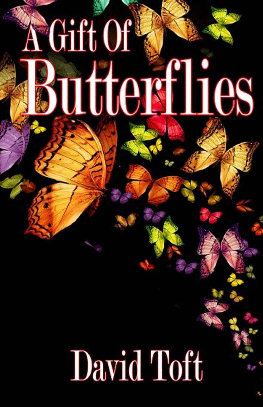 A Gift of Butterflies (the Butterflies Trilogy) poster