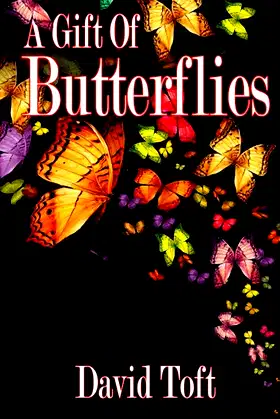 A Gift of Butterflies (the Butterflies Trilogy) poster