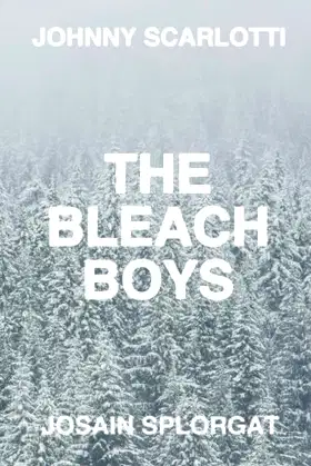 The Bleach Boys poster
