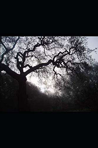 Old Haunted Woods poster