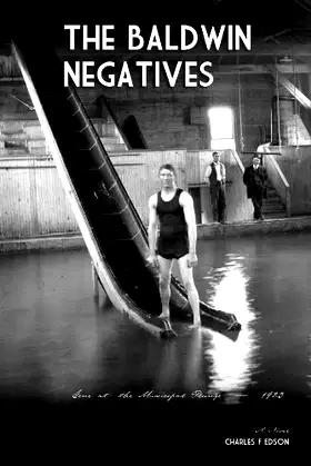 The Baldwin Negatives poster