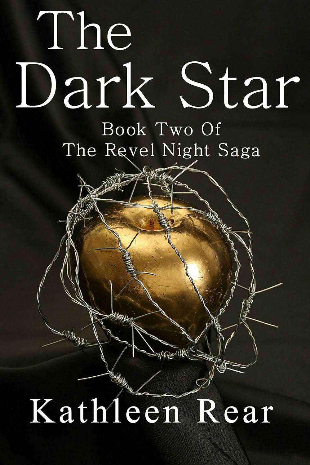 The Dark Star: (The Revel Night Saga Book 2) poster