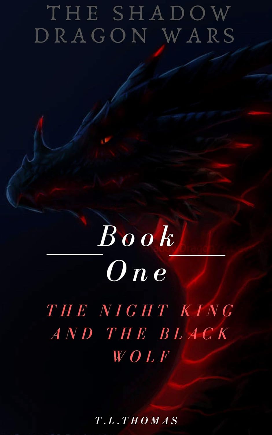The Shadow Dragon Wars: Book One: The Night King And The Black Wolf poster