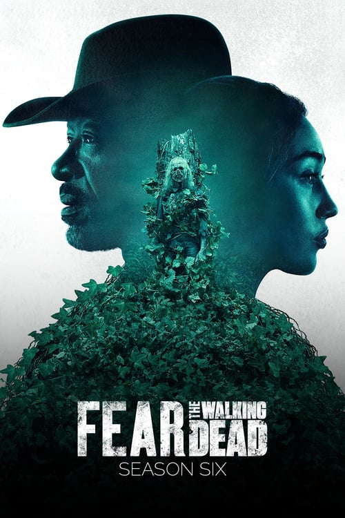 Season 6 poster