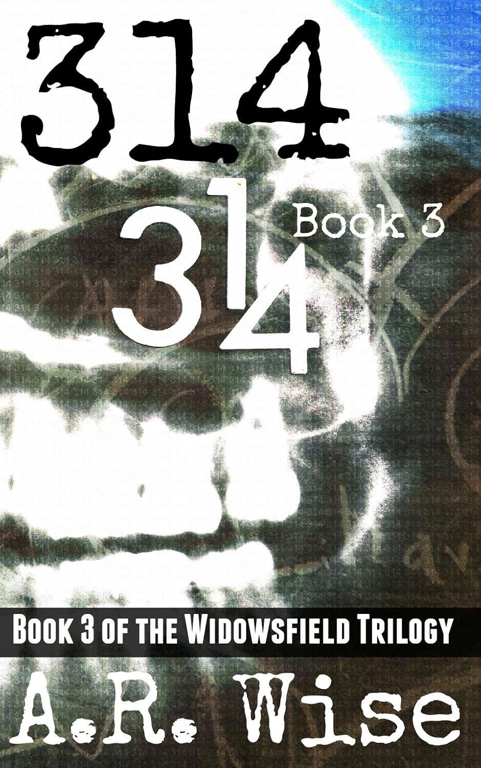 314 Book 3 (Widowsfield Trilogy) poster