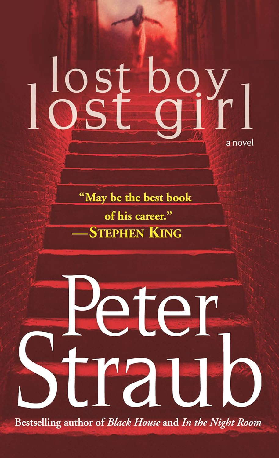 Lost Boy, Lost Girl: A Novel poster