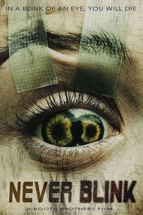 Never Blink poster
