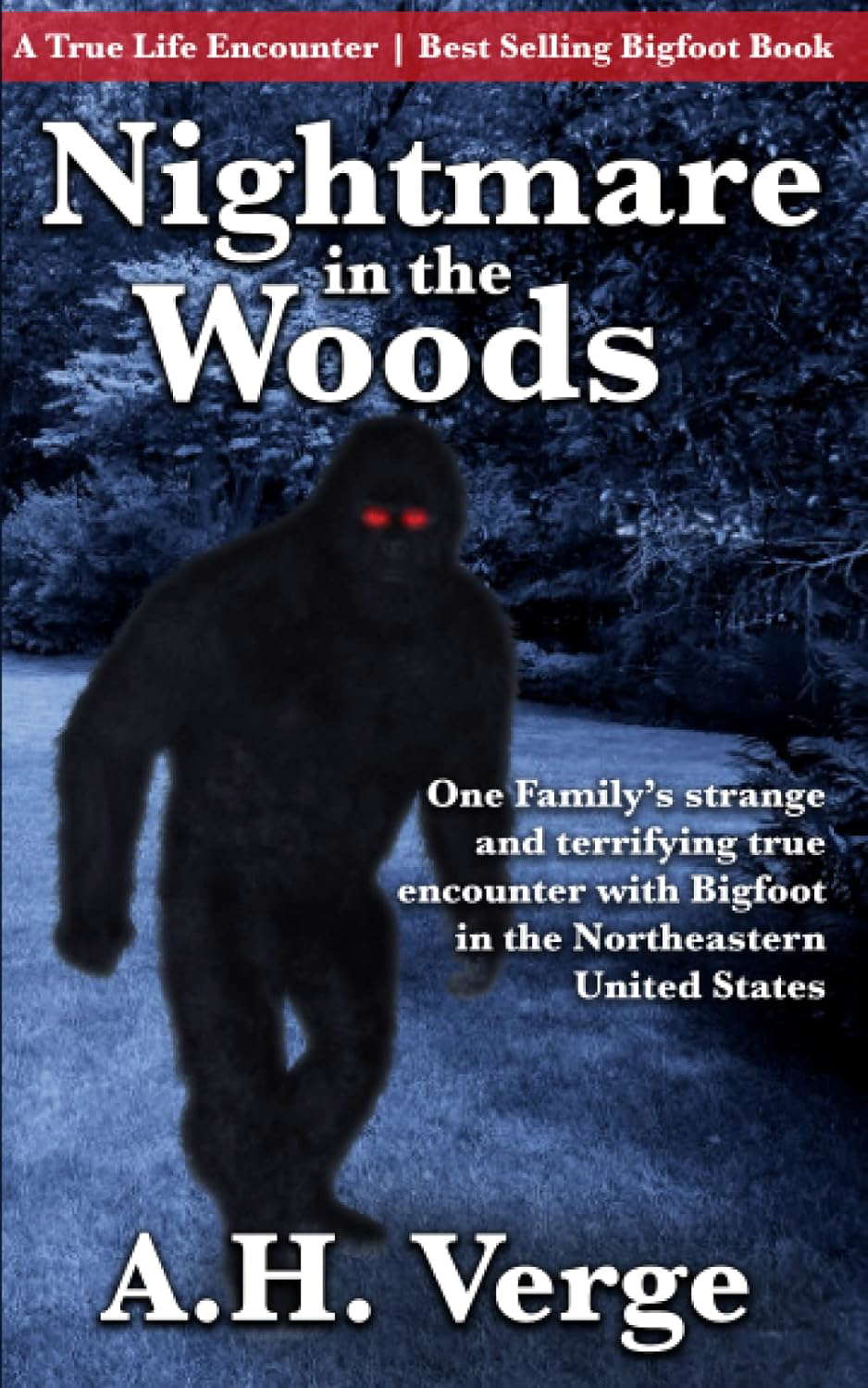 Nightmare in the Woods poster