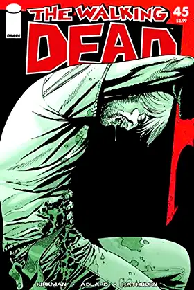 The Walking Dead #45 poster