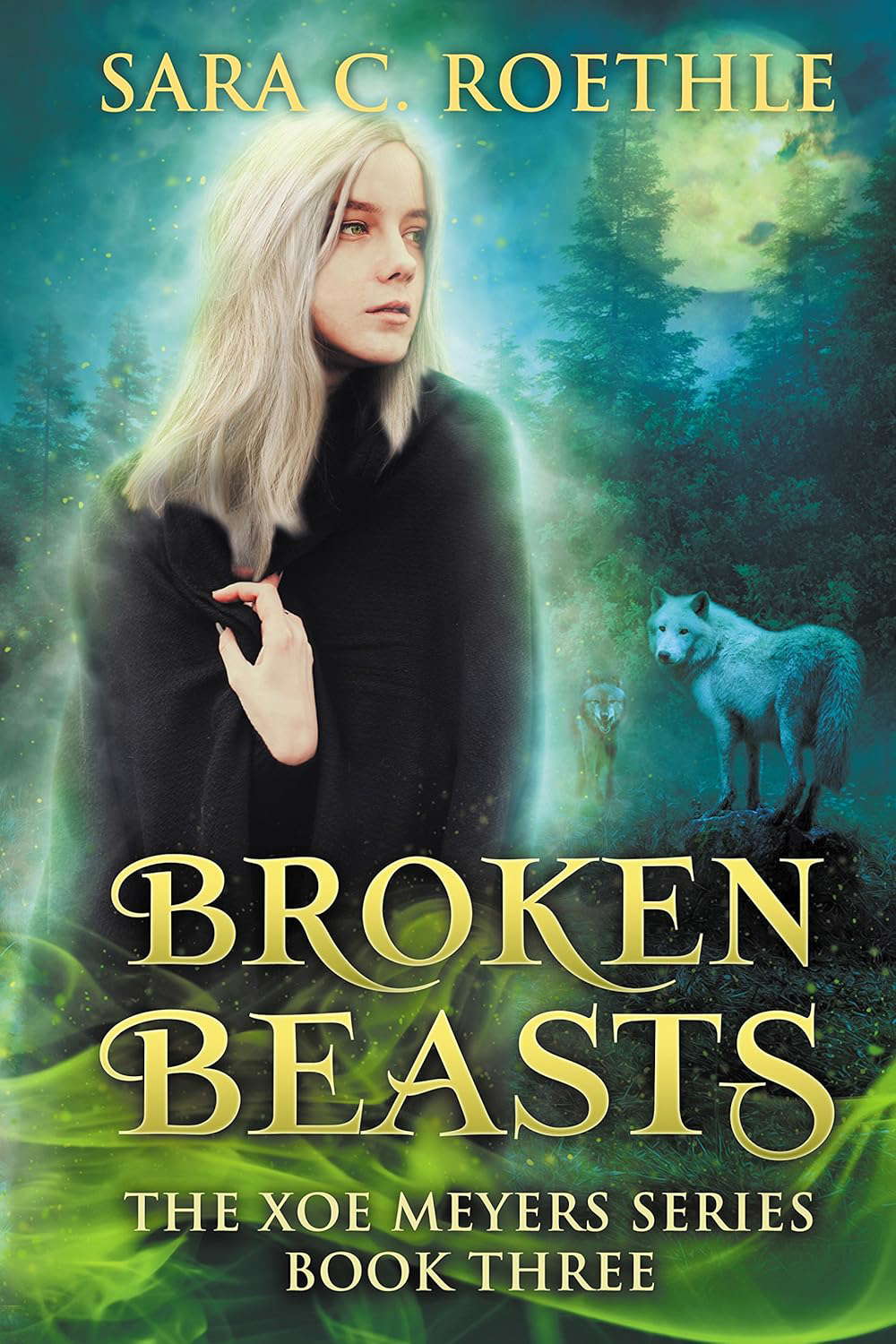 Broken Beasts (Xoe Meyers Fantasy/Horror Series Book 3) poster