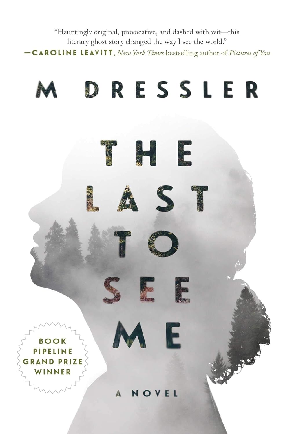 The Last to See Me: The Last Ghost Series, Book One (1) poster